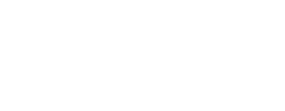 IQN, International Quantum News Network