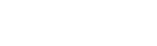 BARQ - The Quantum Software
